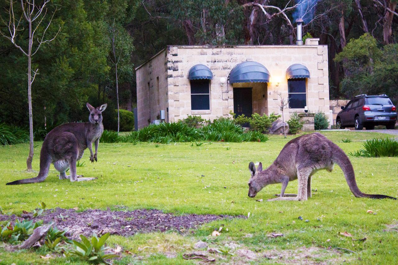 Marwood Villas Halls Gap Εξωτερικό φωτογραφία